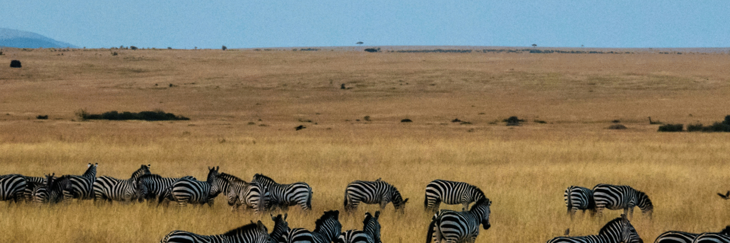 mjambo tours and travel 002