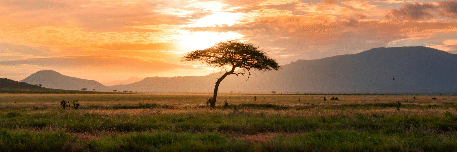 mjambo tours and travel 007